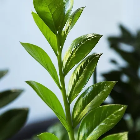 Interhotel Szálloda Wrocław