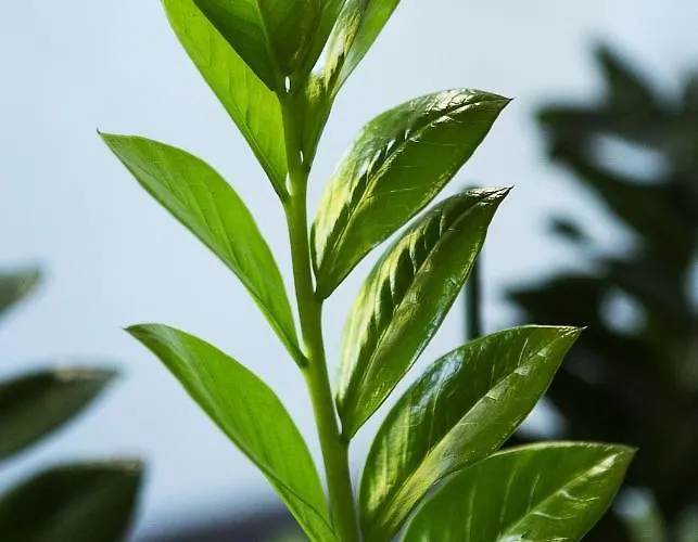 Interhotel Hotel Wrocław